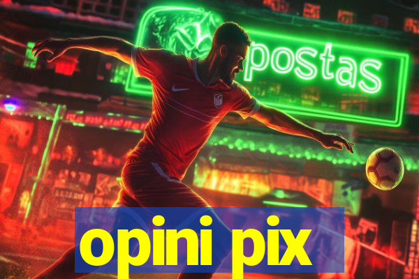 opini pix